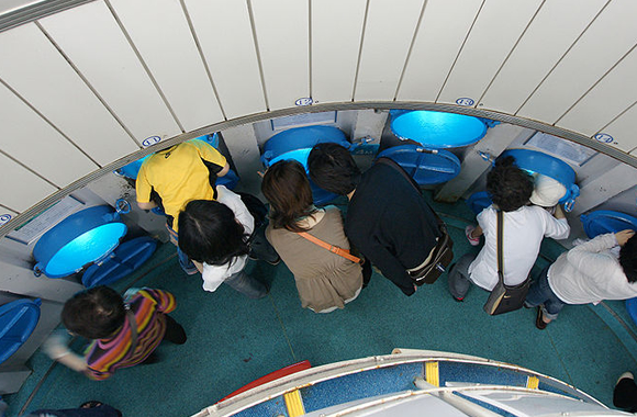 a_cut_busena_marine_park1