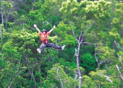 Forest Adventure In Onna Okinawa Island Guide