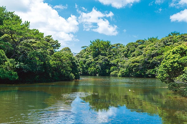 kunigami village forest park